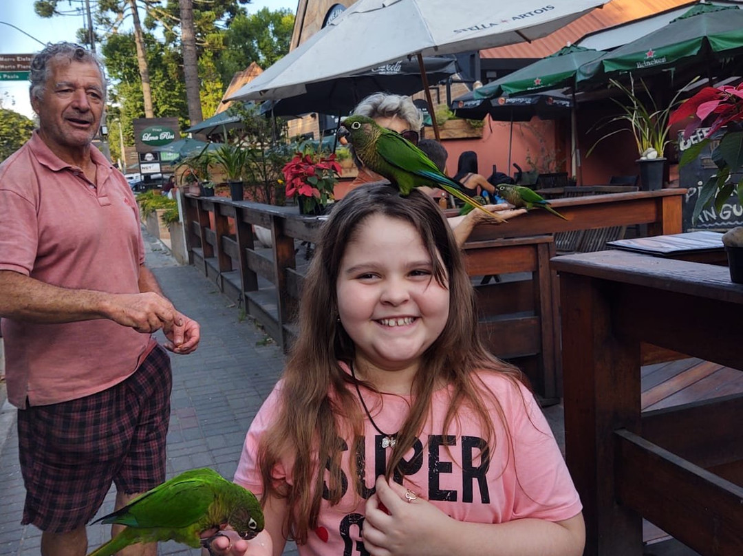 Vila Capivari-坎普斯－杜若尔当必去景点