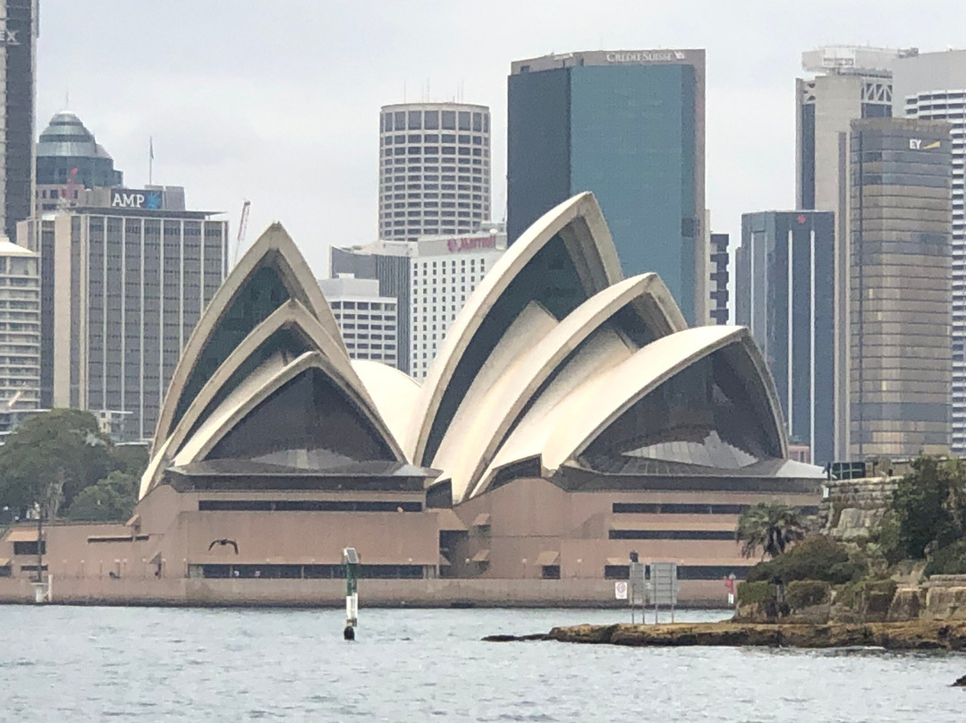 Local Eyes Sydney景点图片