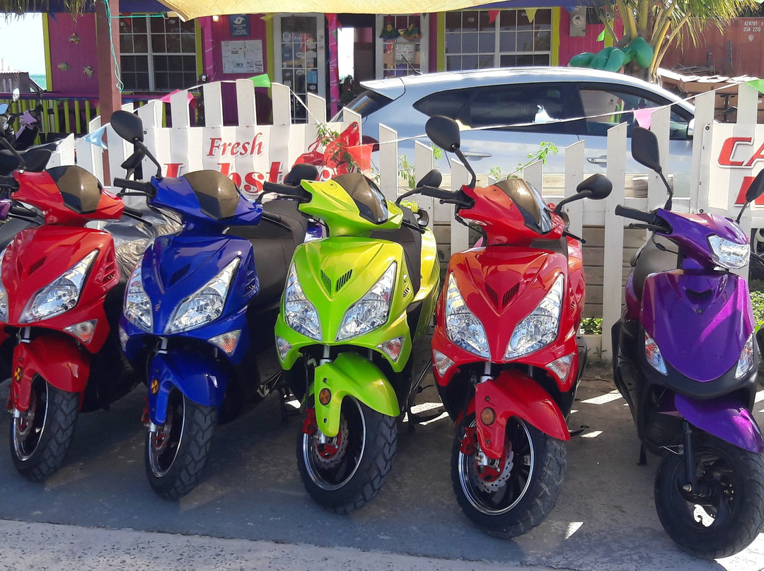 Anegada Amazing Rentals