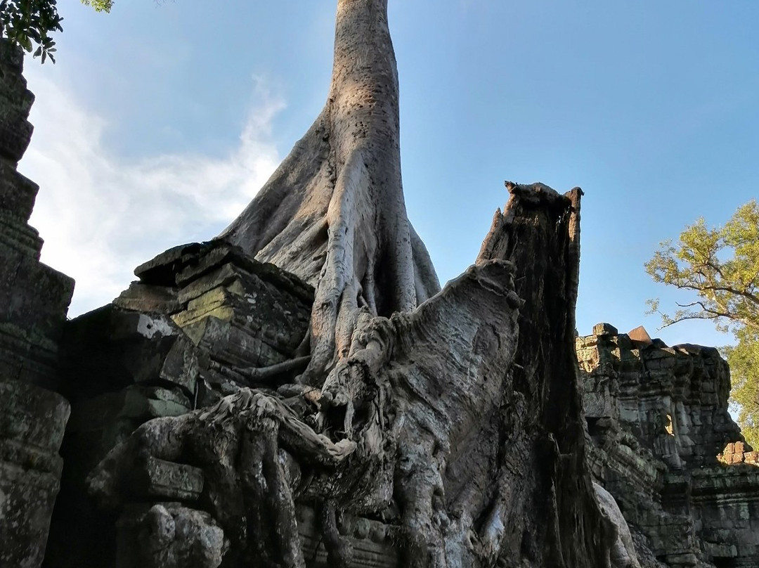 Phao Adventures Tour-暹粒必去景点