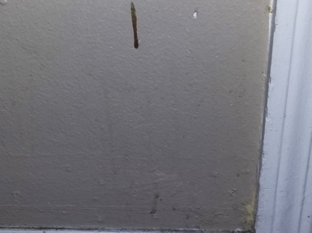 Blue Spring Inn Orange City主图