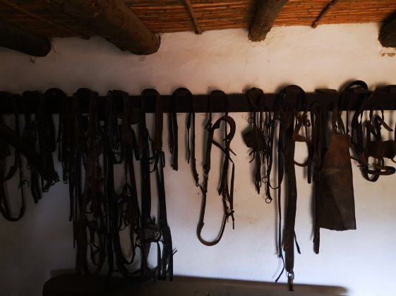 Worcester Museum-伍斯特必去景点