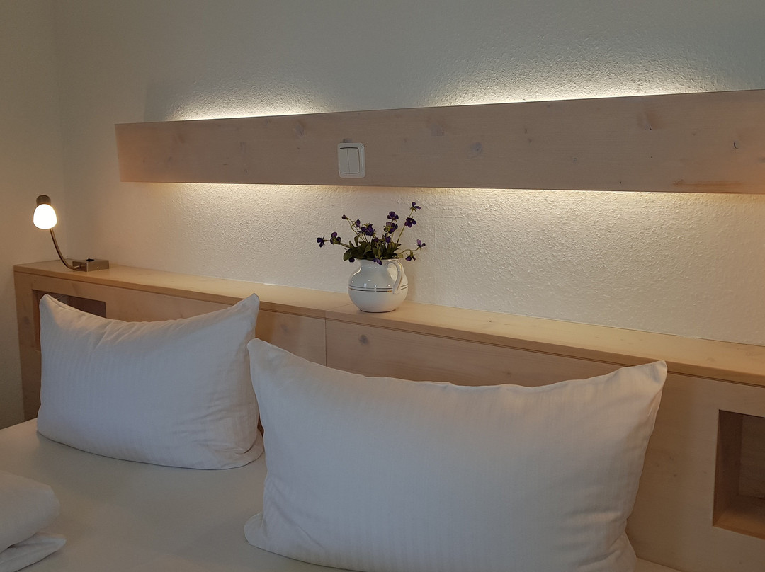 Hotel Villa Sisi主图