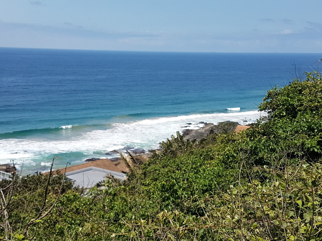 The Vineyard on Ballito主图