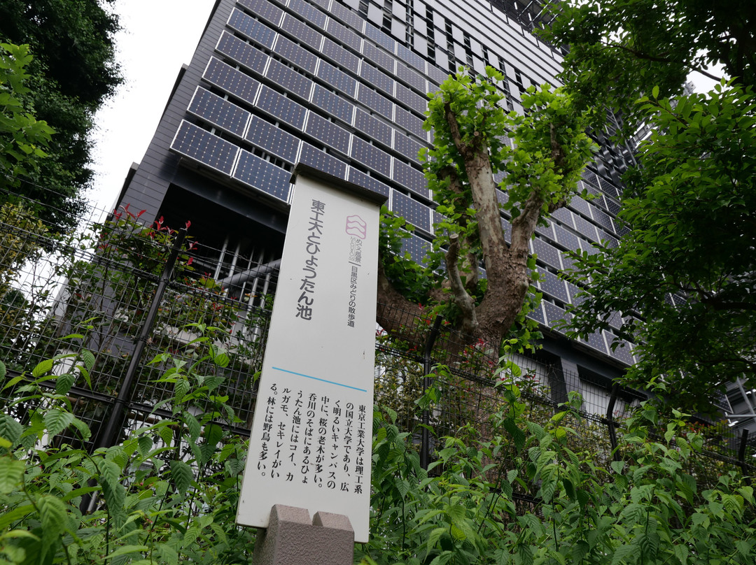 Tokyo Institute of Technology Ookayama Campus-目黒区必去景点
