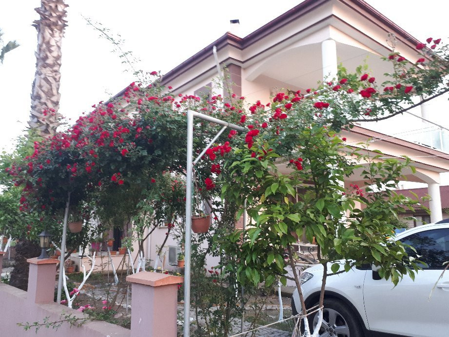 Villa Balim