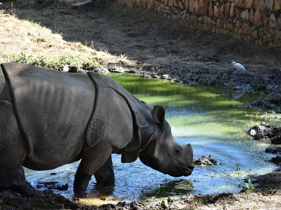 Assam State Zoo景点图片
