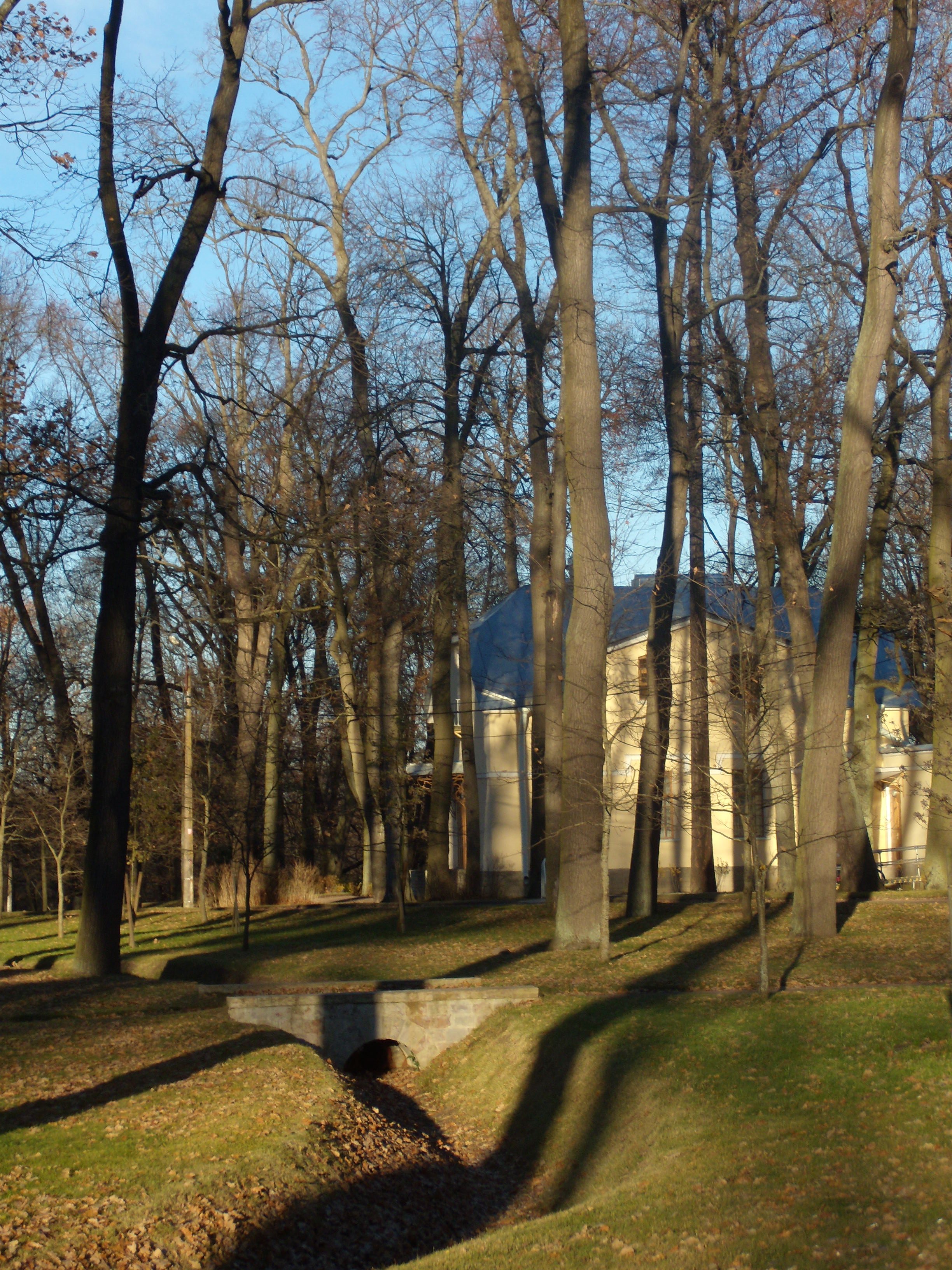 Alexandria-Peterhof-portrait