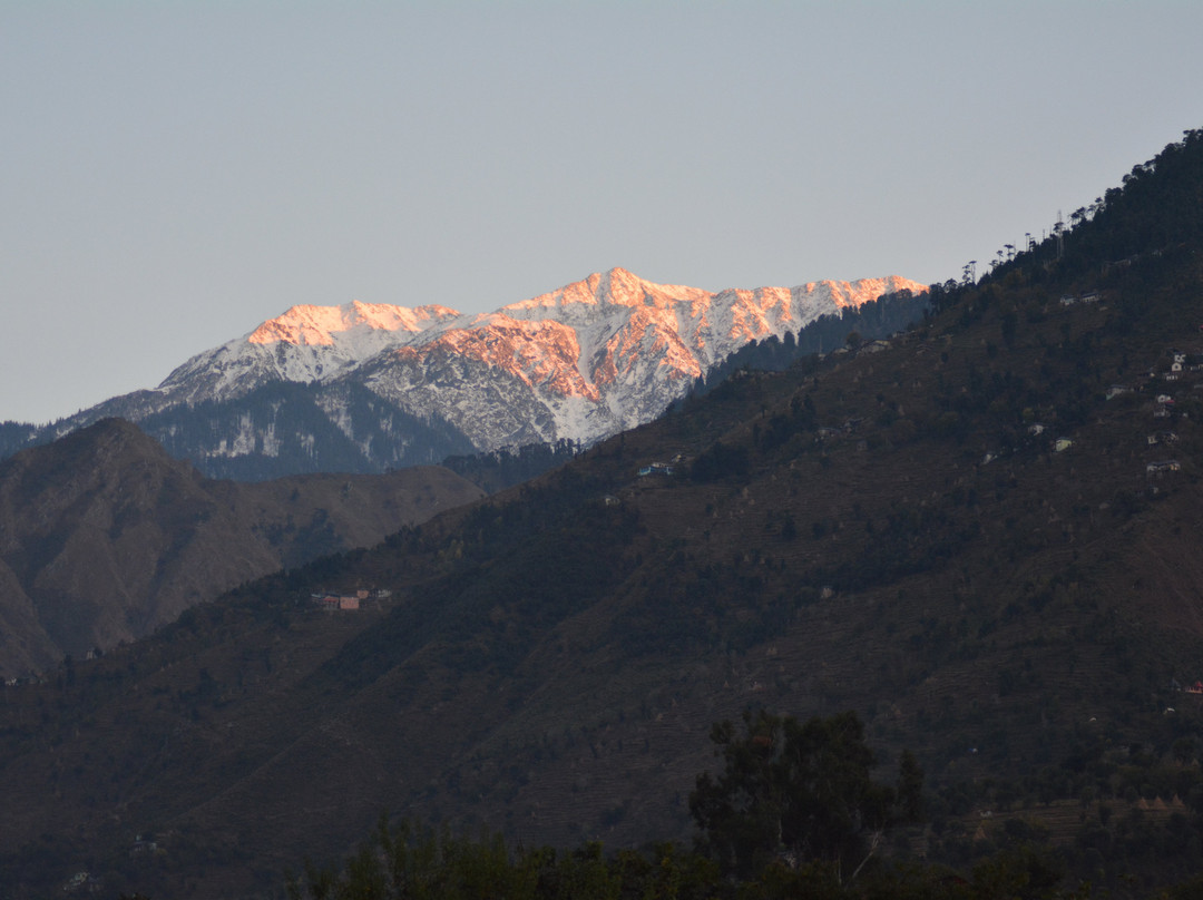 Vedic Vibes Resort主图