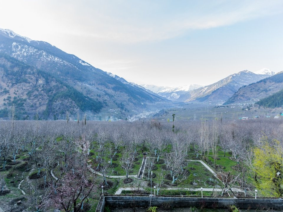 Sajla酒店住宿-萨尔塔克度假村