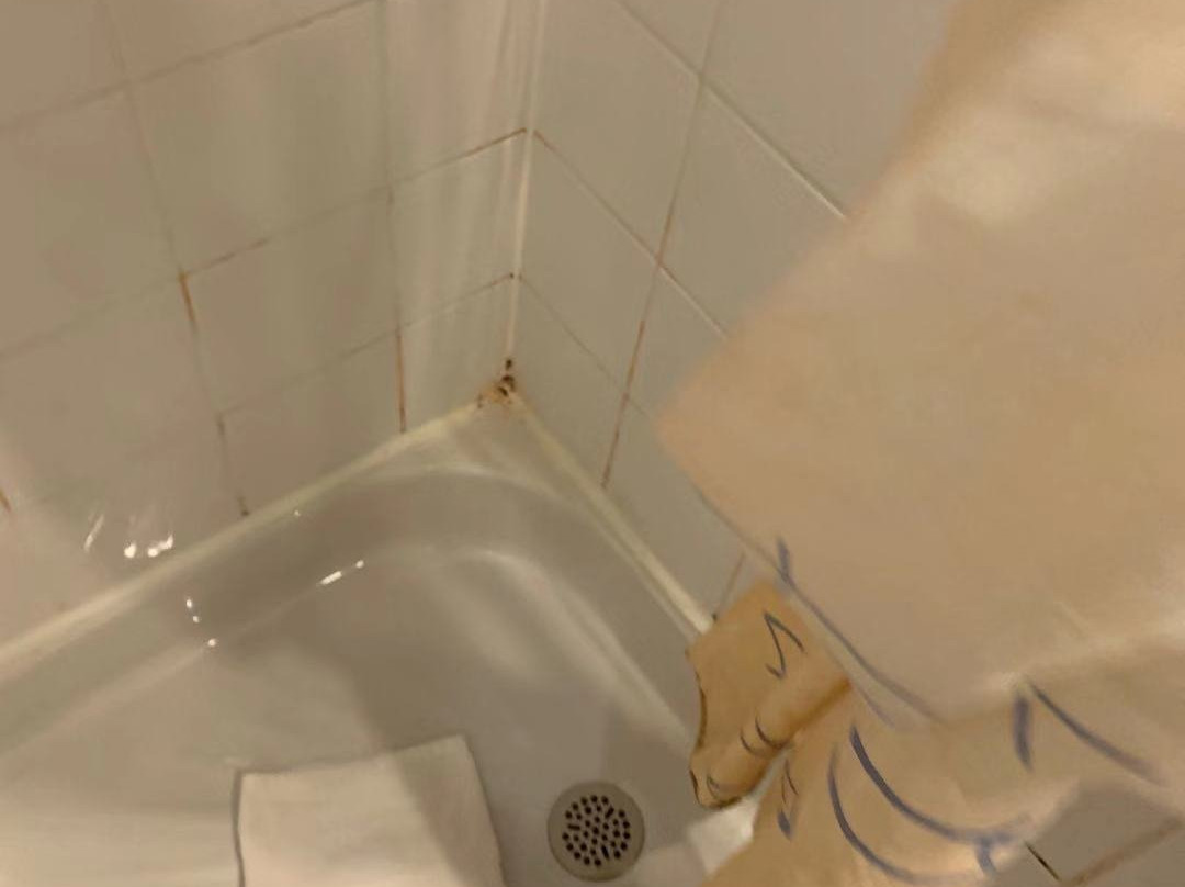 小陛下酒店主图