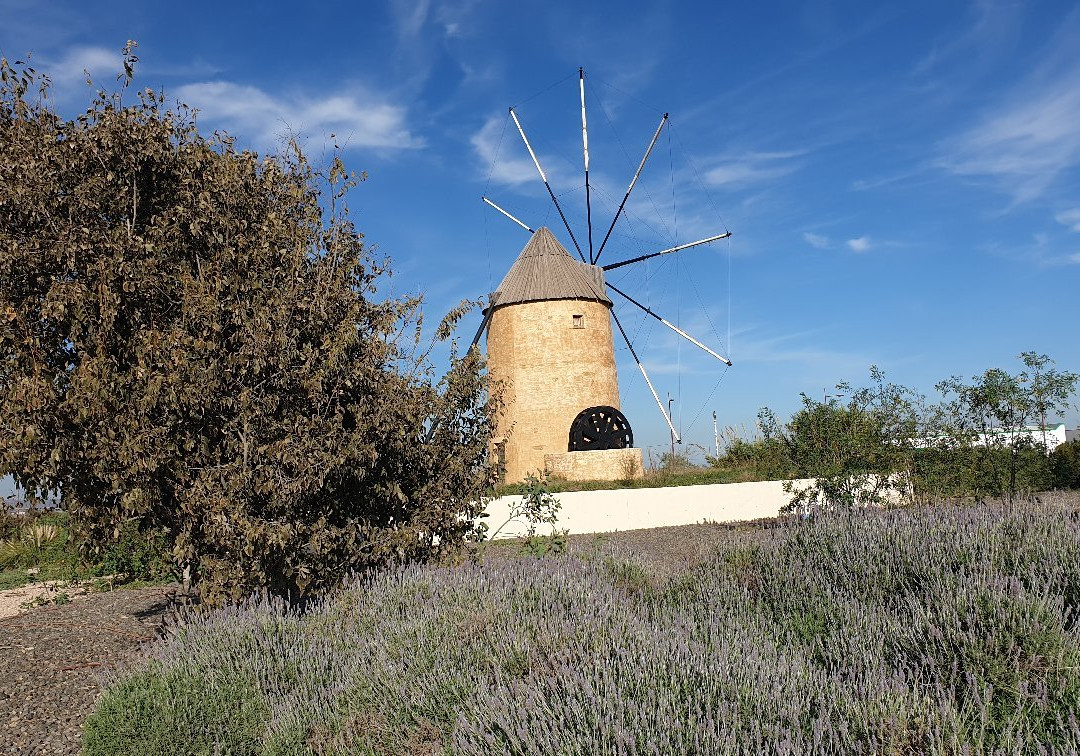 Molino de Los Camachos-Torre-Pacheco必去景点