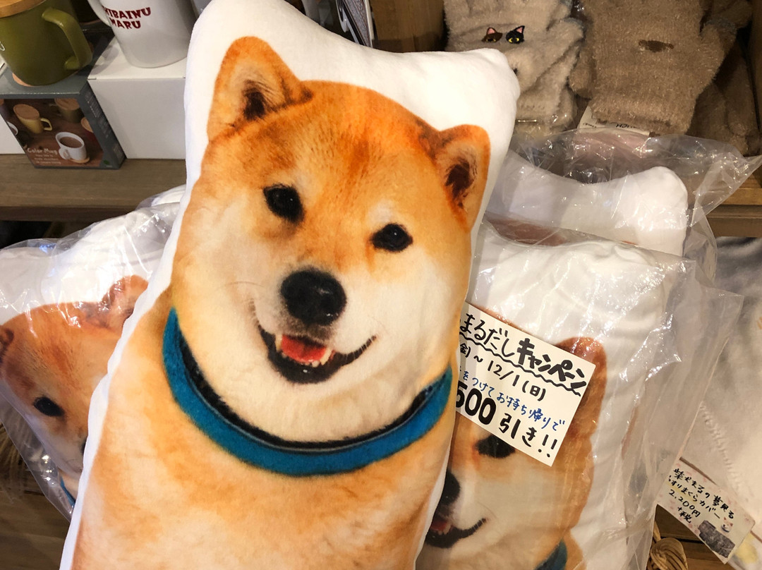 Gallery Marusan-Nezu必去景点