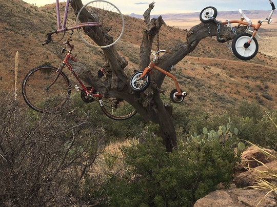 The Desk-Alpine必去景点