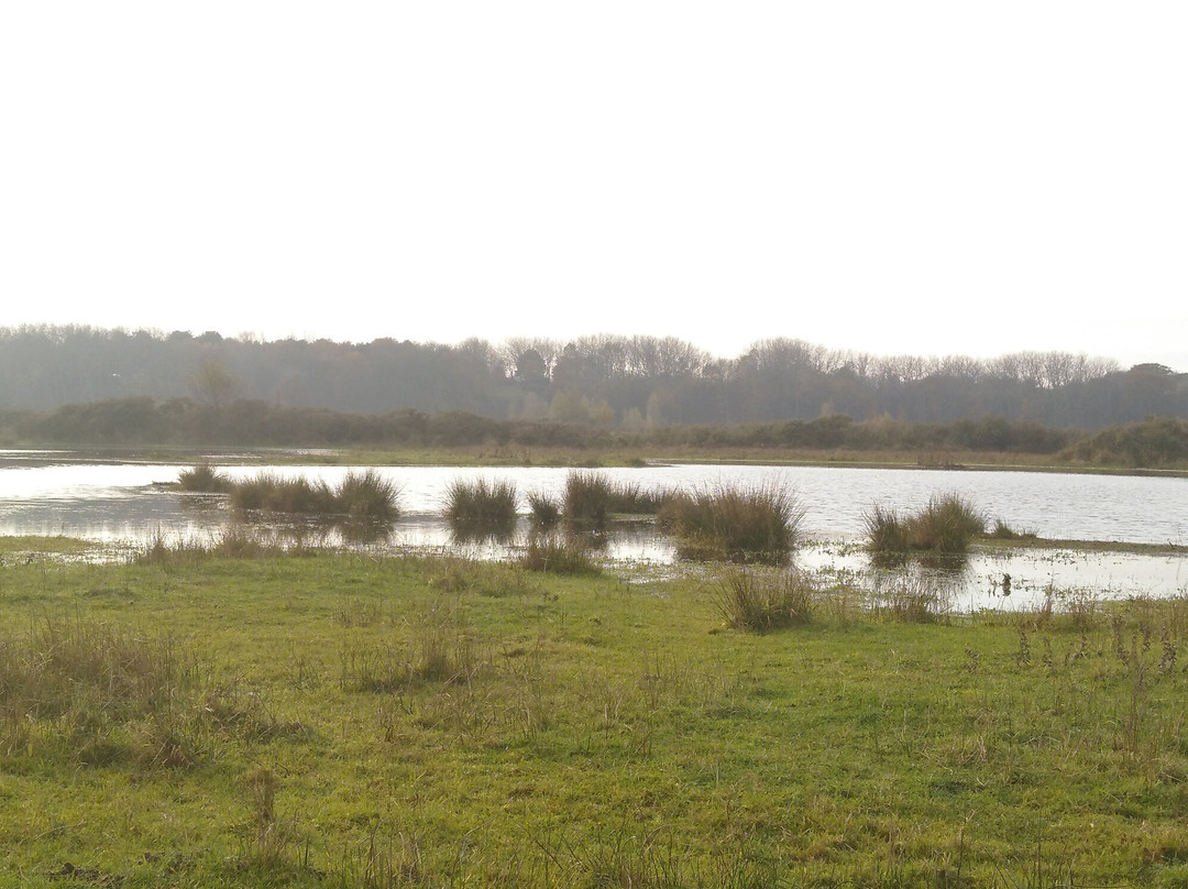 Lentevreugd-Wassenaar必去景点