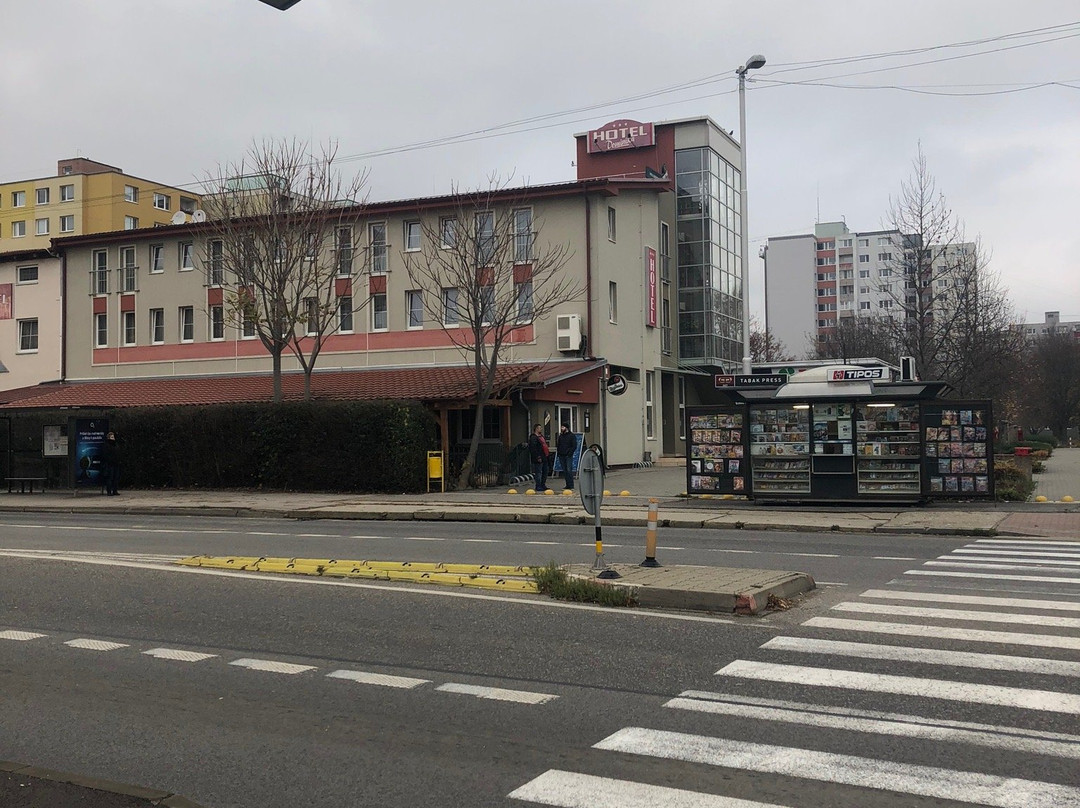 Hotel Dominika主图