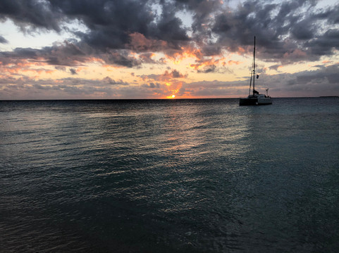 Aventure Marine-努美阿必去景点