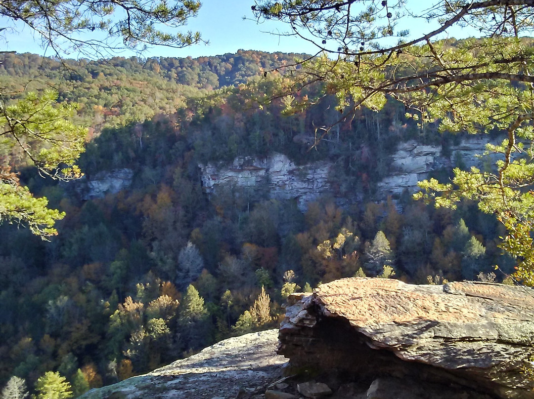 Obed Wild & Scenic River-Wartburg必去景点