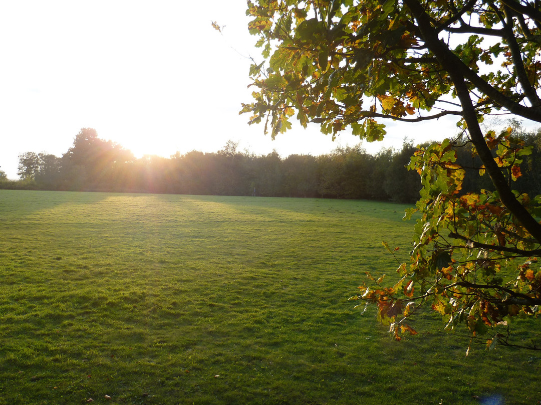 Roughton Park-Roughton必去景点