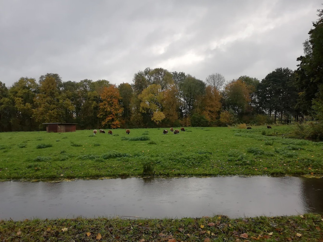 Landgoed Bredius Park-Woerden必去景点