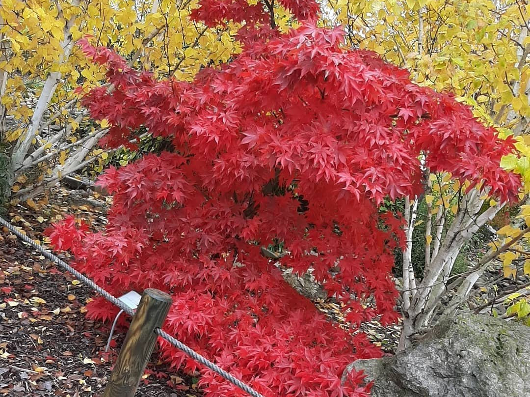 Parque de Los Sentidos-Noain必去景点