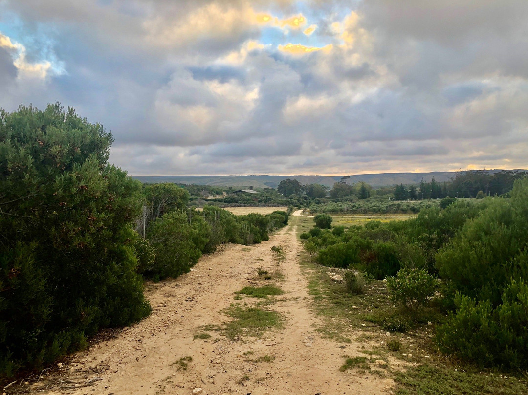 Botterkloof Resort主图