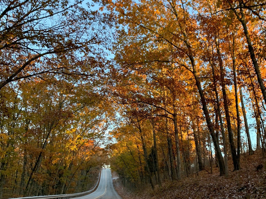 Big Cedar Lodge-Ridgedale必去景点