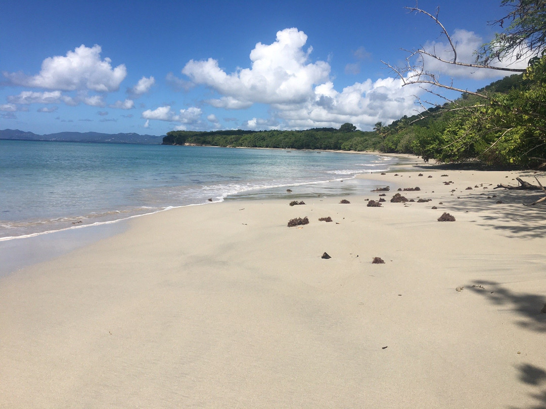 Anse Meunier-Sainte-Anne必去景点