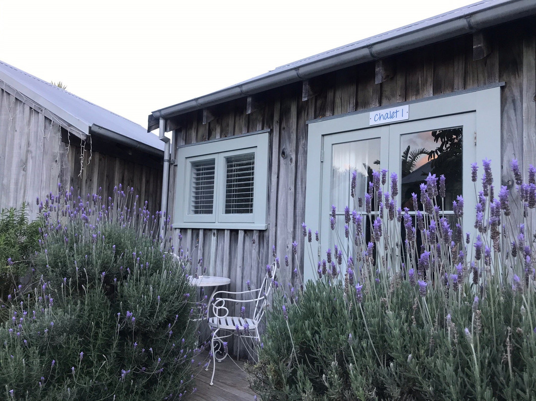 Mangawhai Chalets主图