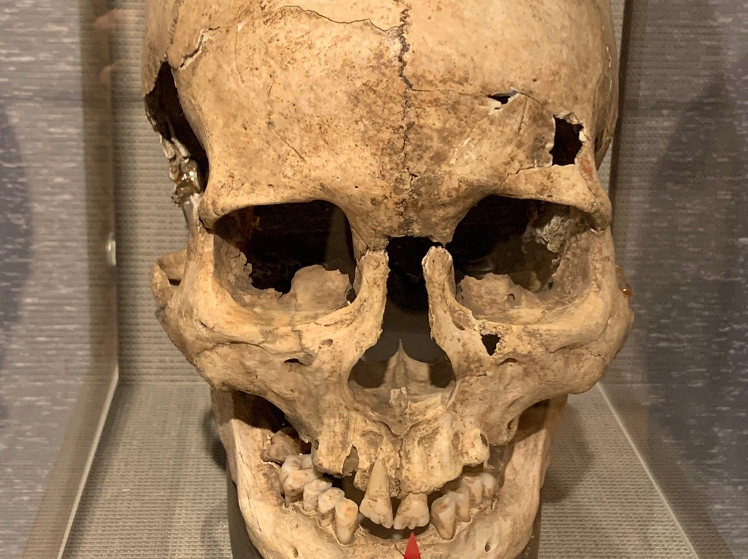 Yoshigo Kaizukashiseki Park-田原市必去景点