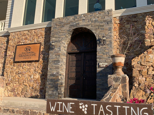 Vino Tinto Tours-Valle de Guadalupe必去景点