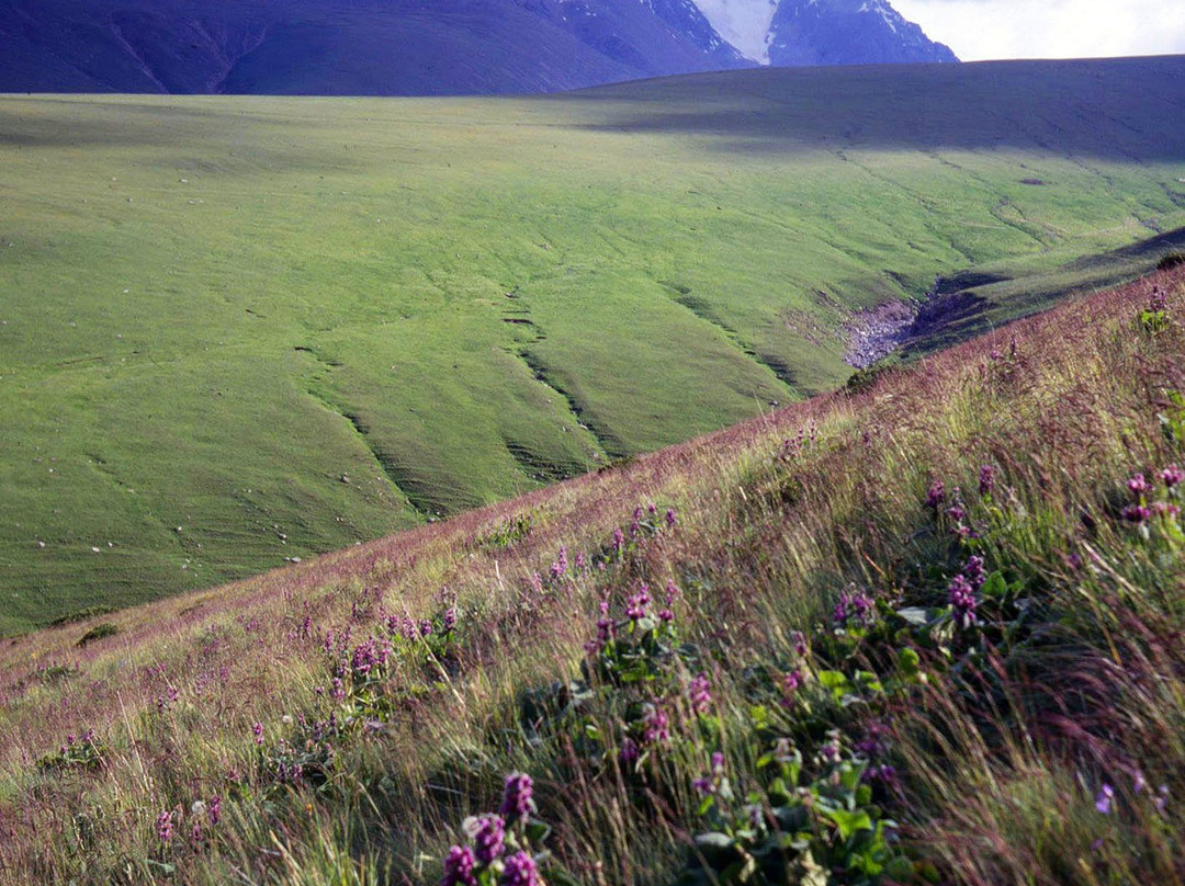 Turgenskoye Gorge-Turgen必去景点