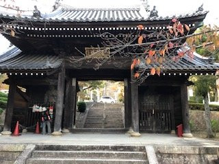 Kannoji Temple景点图片