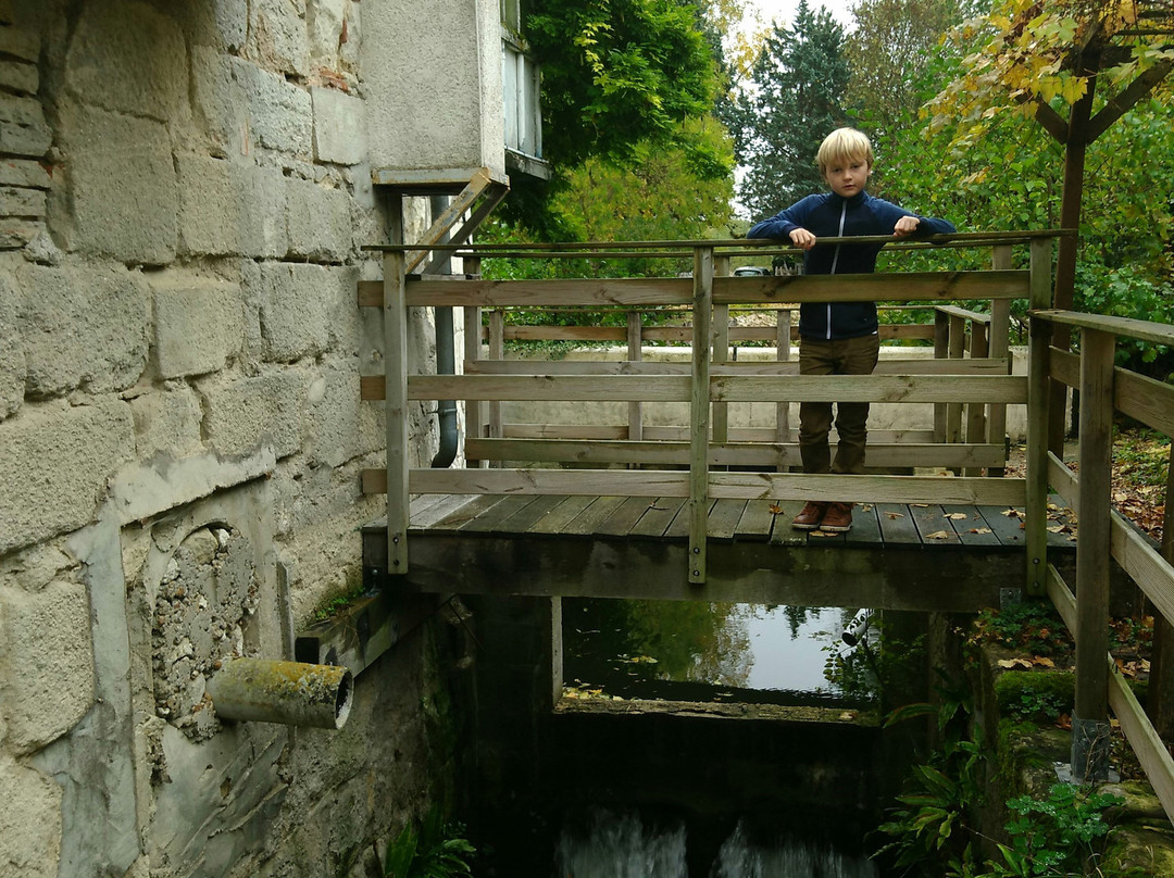 Le Moulin de Saint-Jean主图