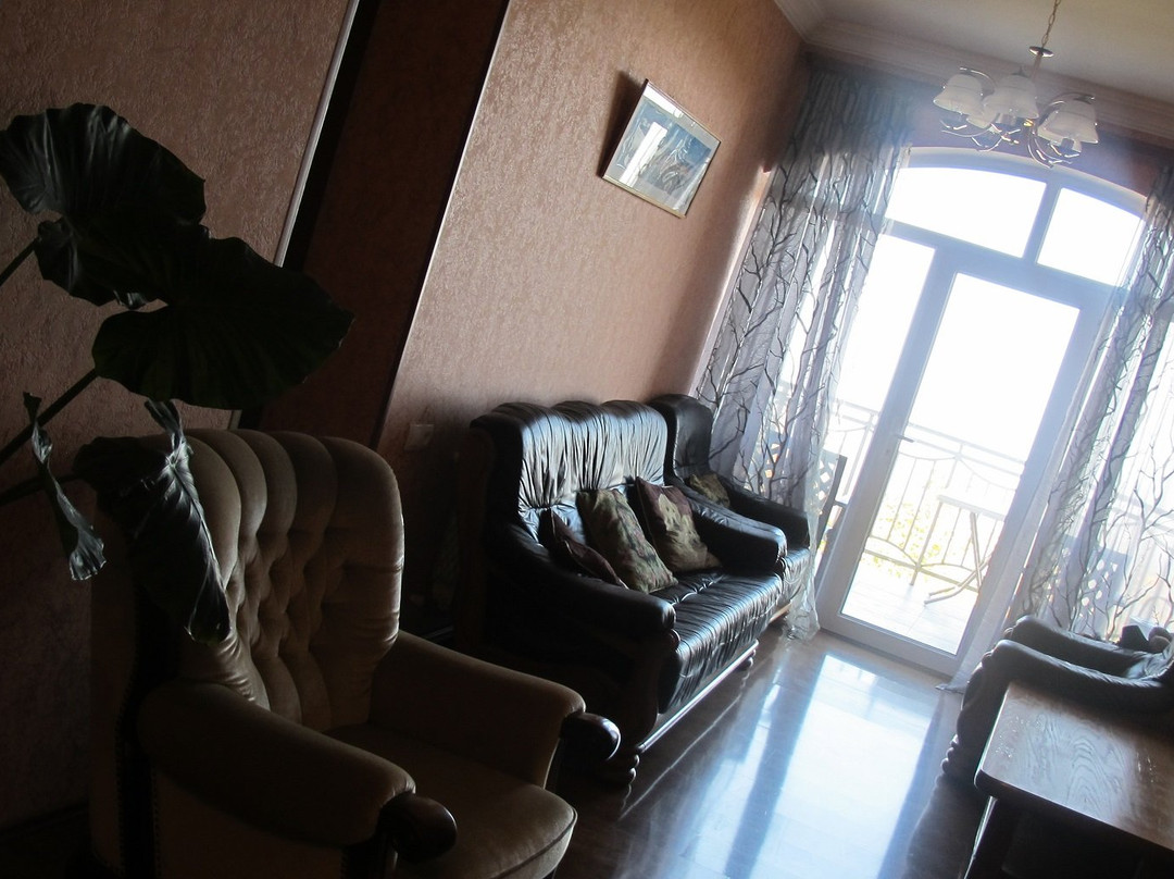 David Zandarashvili's Guesthouse主图