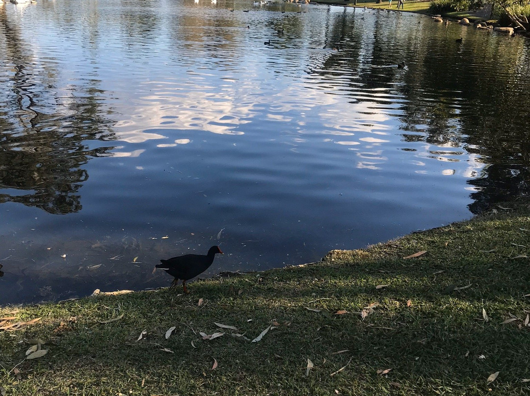 Centenary Lakes景点图片