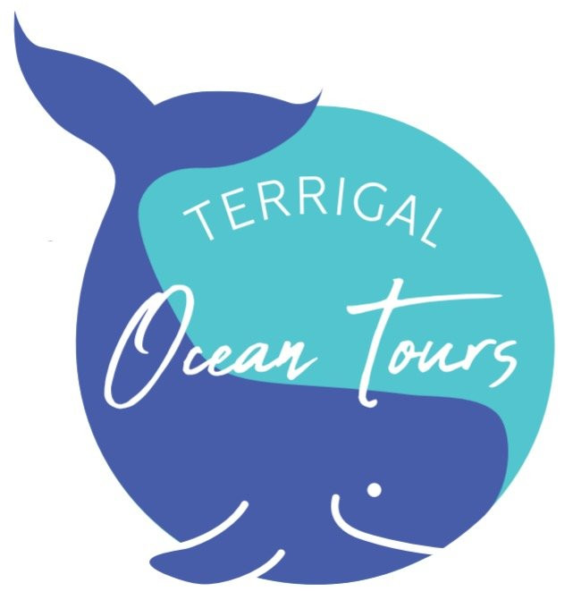 Terrigal Ocean Tours景点图片