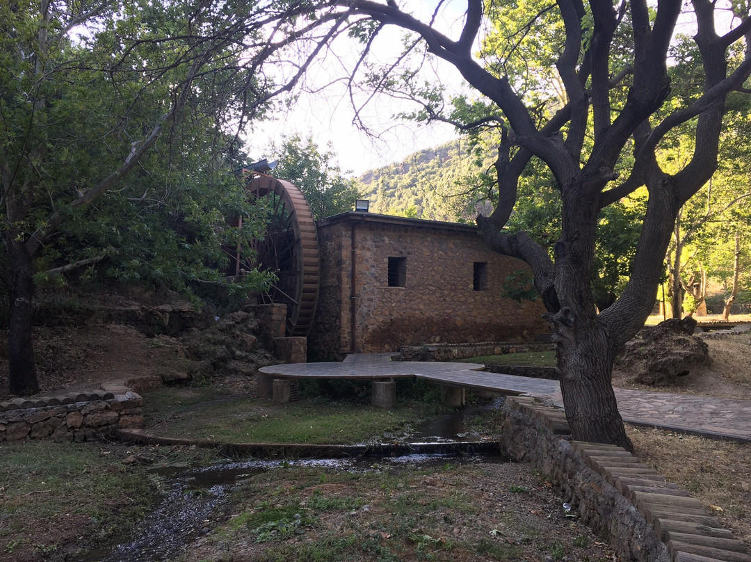 Degirmen Park景点图片