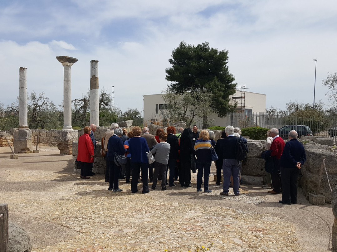 Il Parco Archeologico di San Leucio景点图片