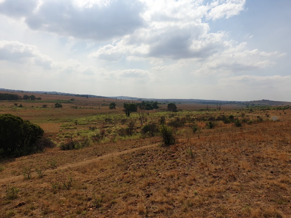 Rietfontein Nature Reserve景点图片
