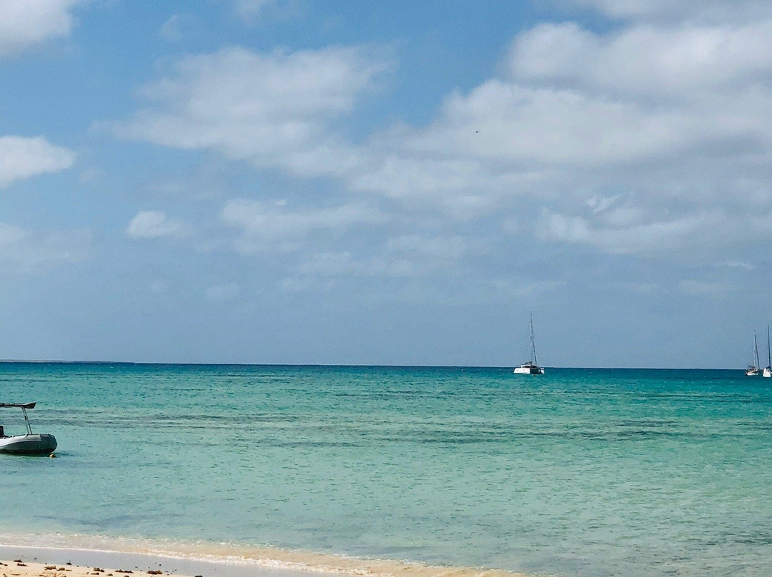 Migrante Guesthouse主图