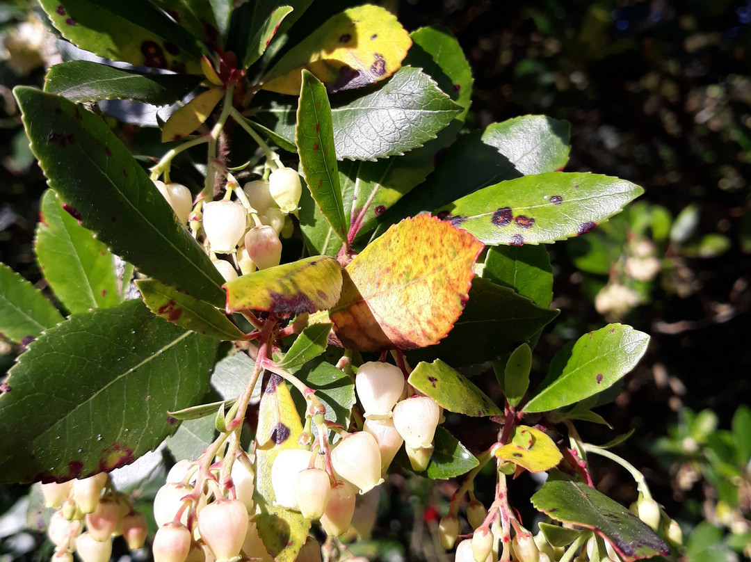 力推西部公园住宿酒店主图