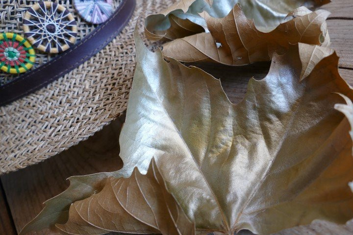 Oftering旅游攻略图片