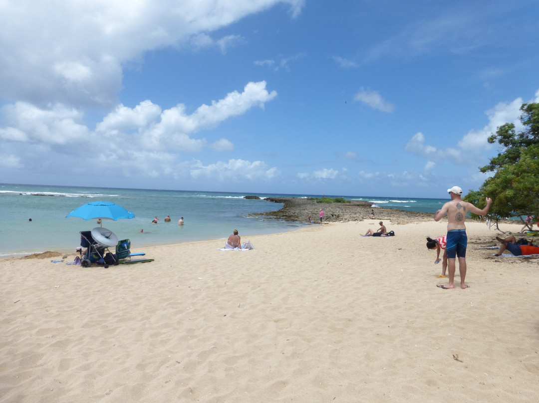 Turtle Bay Beach景点图片