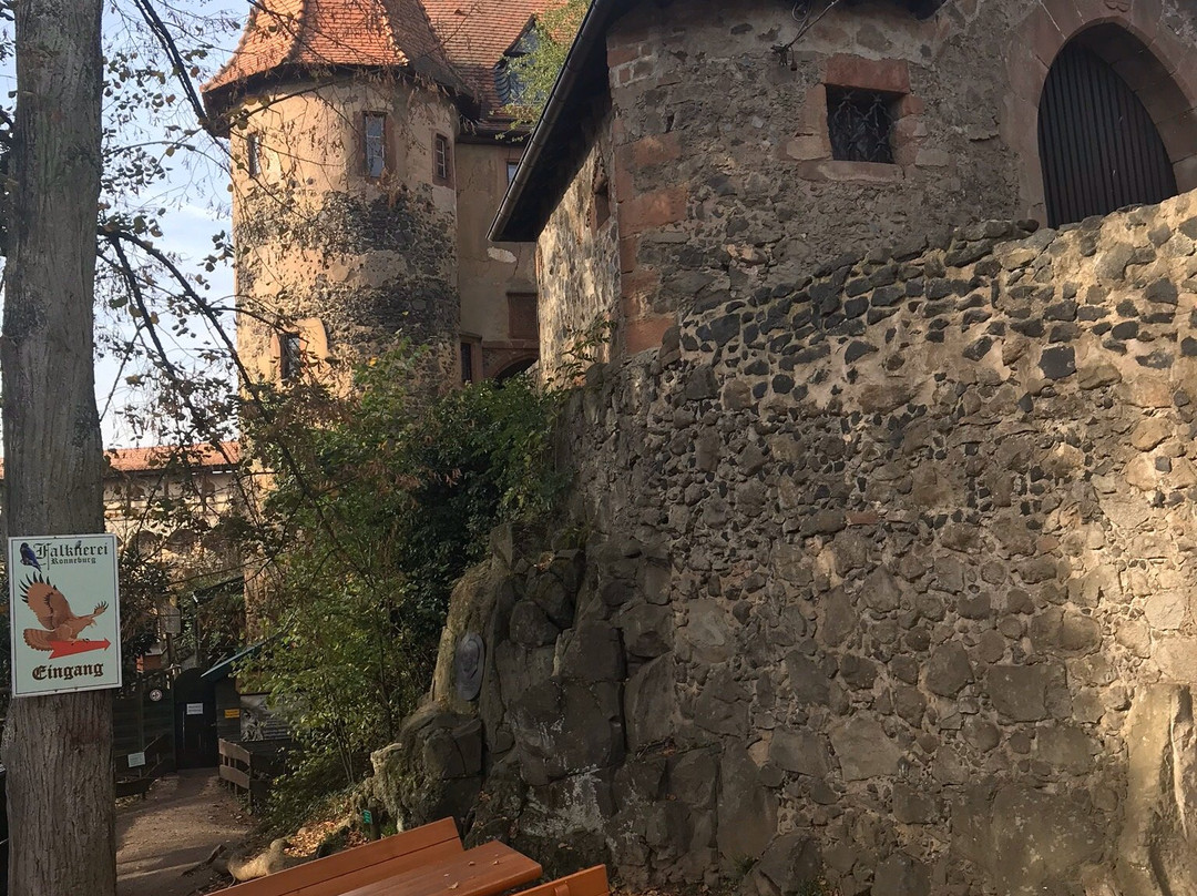 Burg Ronneburg景点图片