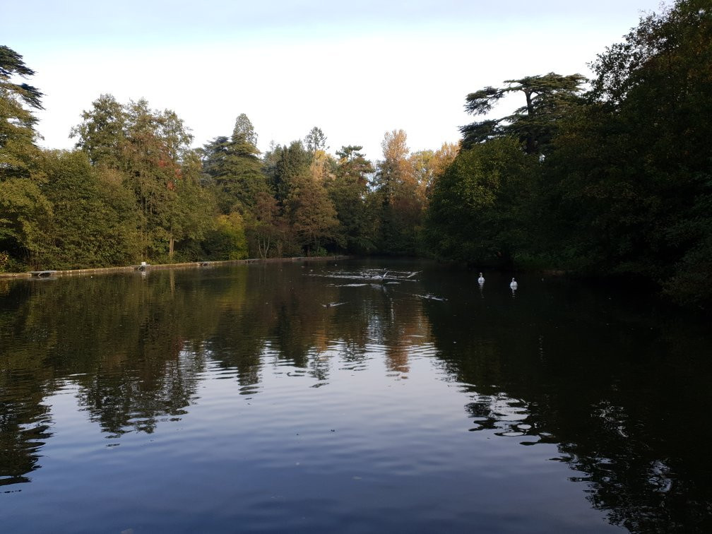 Stratford Park Leisure Centre景点图片