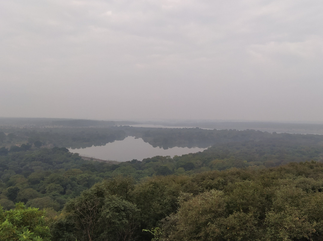 Madhav National Park景点图片