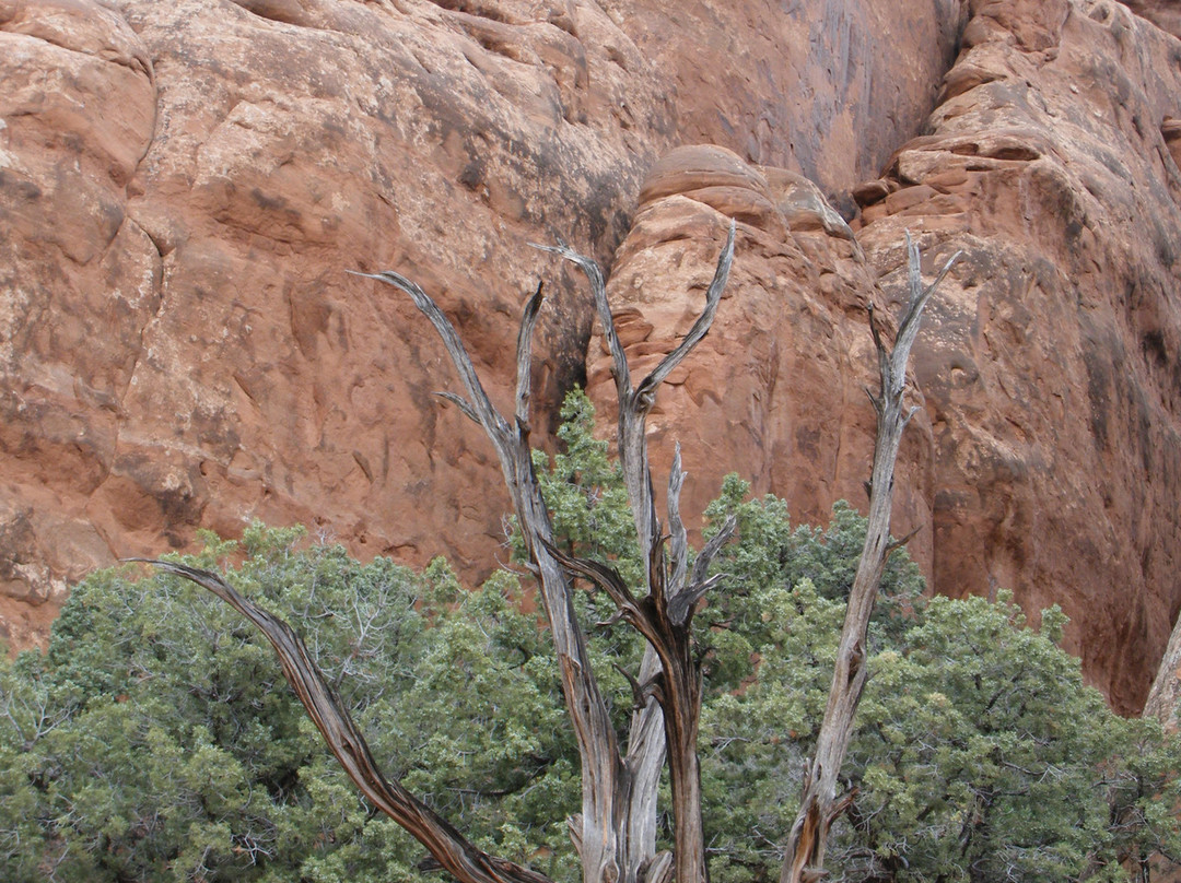 拱门国家公园-莫阿布必去景点