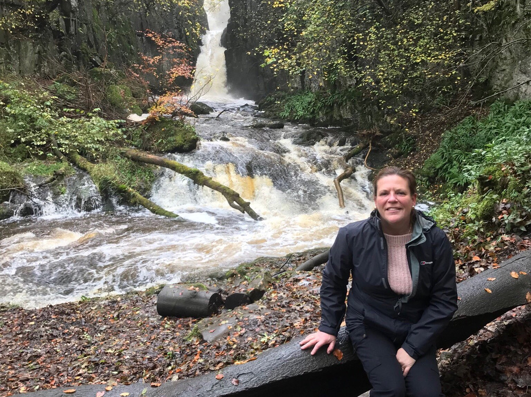Catrigg Force Waterfall景点图片