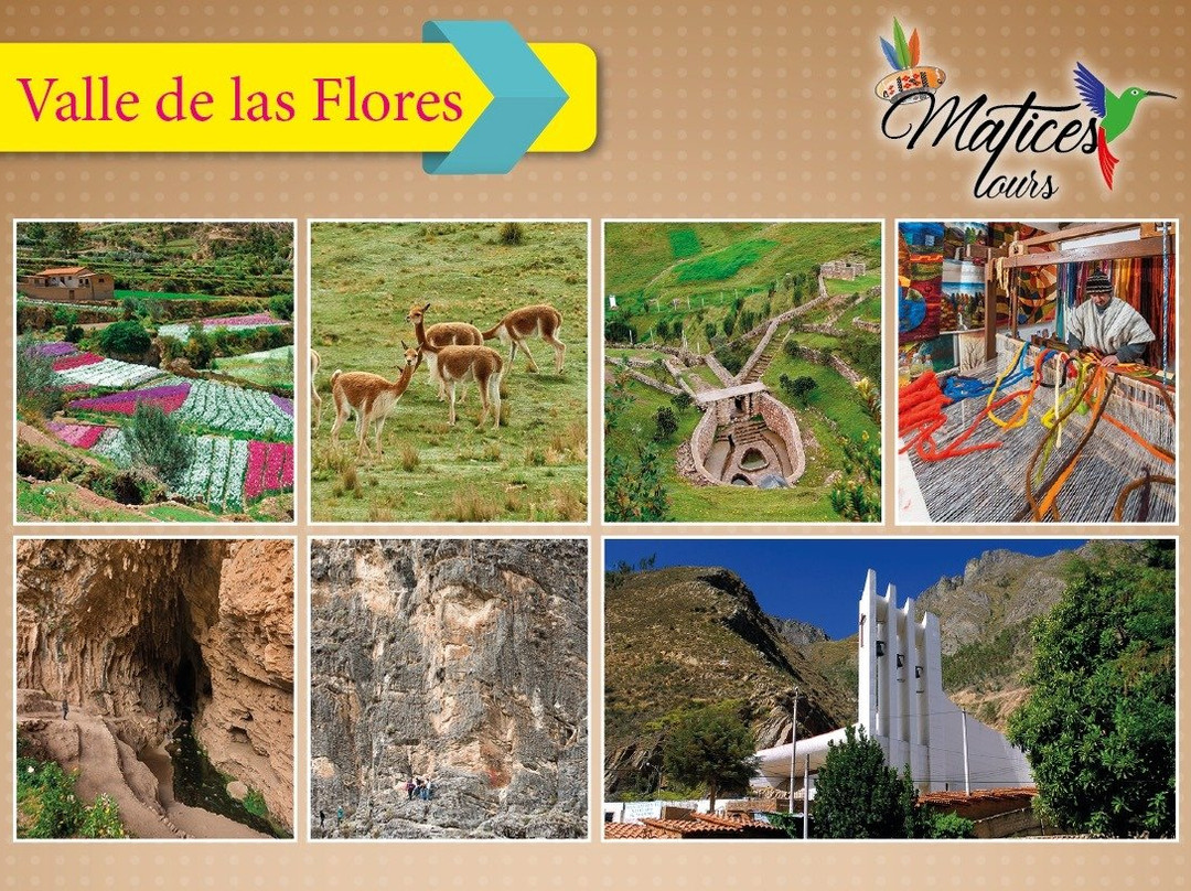 Matices Tours S.R.L-塔玛必去景点